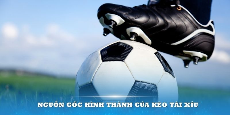 Kèo Tài Xỉu Là Gì? Cách Chơi Đơn Giản Bậc Nhất 2024 1 Kèo Tài Xỉu có luật chơi đơn giản rất dễ tiếp cận